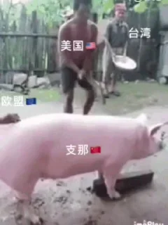 Video sticker 🌟 @millennia_network @ego1205 @moa0107 @moa1205