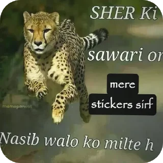 Telegram sticker 🐆 Gc me cool kaise bane  @sticker_qrsii
