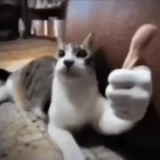 Телеграм стикер 👍 Yog :: @fStikBot