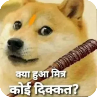 Video sticker 🐱 Bakchodi