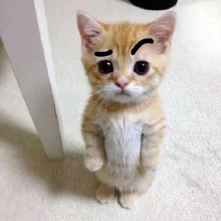 Telegram sticker 🤨 alergimcdek :: @fStikBot
