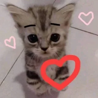 Telegram sticker 🥰 alergimcdek :: @fStikBot