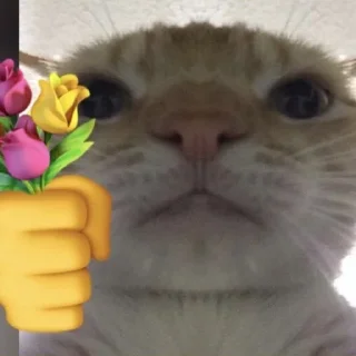 Telegram sticker 😛 alergimcdek :: @fStikBot