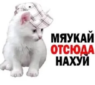 Telegram sticker 🖕 pizDa :3 ^____^ :: @fStikBot