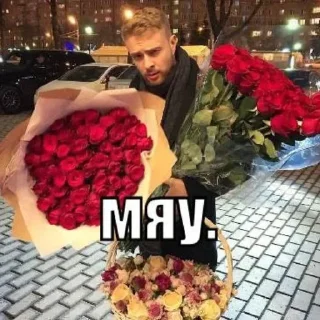 Video sticker 🌟 @stikerk877