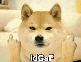 Telegram sticker 🤔 @Idgafck67