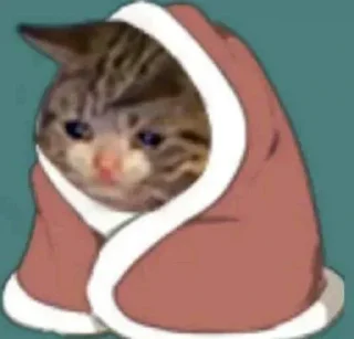Telegram sticker 😢 @iraqisurvivors