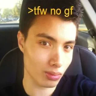 Video sticker 🥲 T.me/addstickers/elliot_rodger