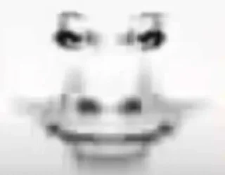 Video sticker 🐲 全能搜索 @equwei