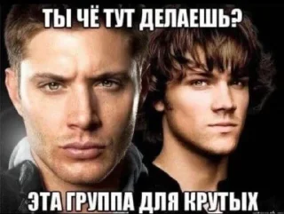 Video sticker 🌟 всадники аутизма :: @fStikBot