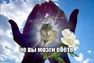 Telegram stiker 🌟 всадники аутизма :: @fStikBot