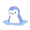 Video sticker 🥲 Blue Pengu #4537 @sticker_bot