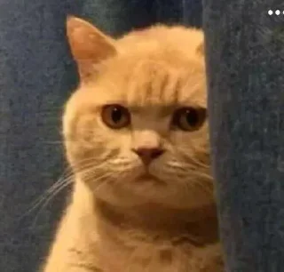 Sticker 😒 Donya’s mood as fuck