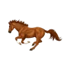 Video sticker 🤩 ilovehorses by @un...