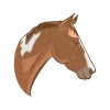 Sticker 🤩 ilovehorses by @unluckyhz.