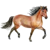 Sticker 🤩 ilovehorses by @un...