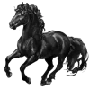Video sticker 🤩 ilovehorses by @un...