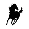 Video sticker 🤩 ilovehorses by @un...