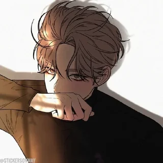 Video sticker 🌟 @TwinCurl☆ 🐈 𝑫𝒐𝒉𝒘𝒂 1.0