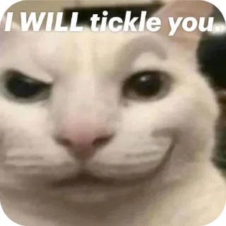 Telegram sticker 😝 Stupid shi