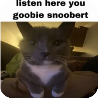 Telegram sticker 😤 Stupid shi