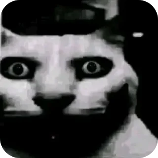 Telegram sticker 😰 Stupid shi