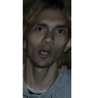 Video sticker 🫥 Project Indy galore