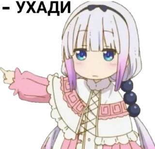 Video sticker 💁‍♂ Favorite stickers by @fStikBot