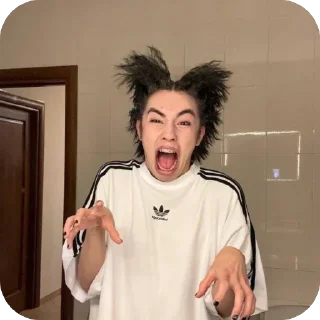 Video sticker 🫥 Аслан))