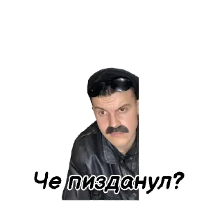 Telegram sticker 🧐 🦁 Усатый Прайд 🦁