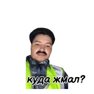 Video sticker 🤨 🦁 Усатый Прайд 🦁
