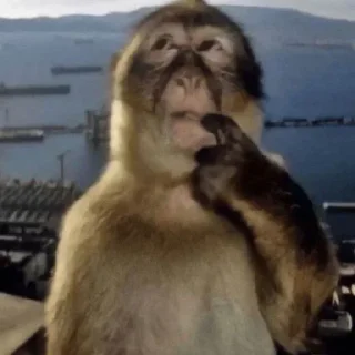 Telegram sticker 😀 Don't cry babe