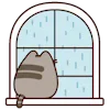 Video sticker 🪟 Pusheen - @ShoutoE...