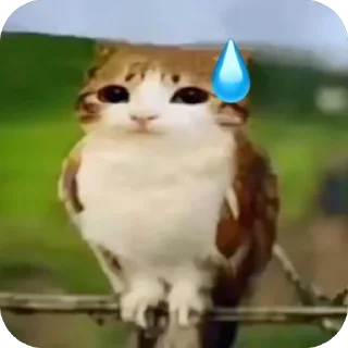 Telegram sticker 😅 Ілья сіх севен