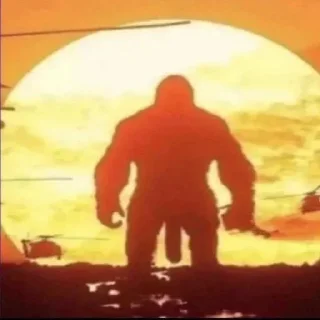 Video sticker 🦍 Completely random ass pack(arad😛)