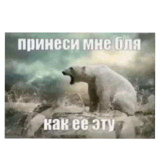Telegram sticker 🖼 стикеры для ебанатов тупых