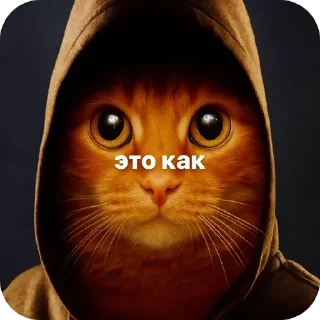 Video sticker 🐱 окаки • @ryzenkiy