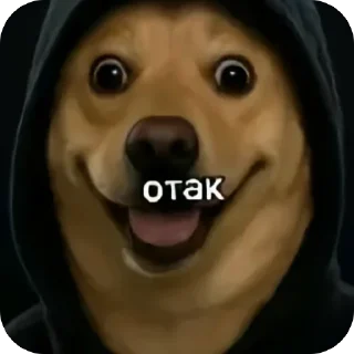 Telegram sticker 🐶 окаки • @ryzenkiy