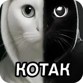 Video sticker 🫥 окаки • @ryzenkiy