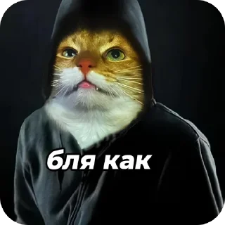 Telegram sticker 🫥 окаки • @ryzenkiy