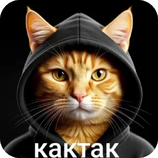 Telegram sticker 🫥 окаки • @ryzenkiy