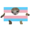 Sticker 🏳️‍⚧️ 🏳️‍⚧️ @sukipha