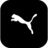 Sticker 👟 TomaChollazos