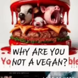 Video sticker 😱 VK stickers -> @VuroTheLatexWolf