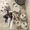 Video sticker 🐈‍⬛ тгк: @weaponfor...