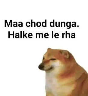 Телеграм стикер 😎 @cupcakecorgi :: @fStikBot