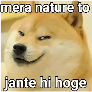 Video sticker 😋 @cupcakecorgi :: @fStikBot