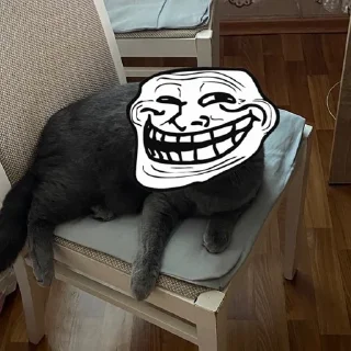 Telegram sticker 😃 Tom