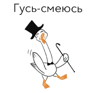 Video sticker 😀 Goosuse