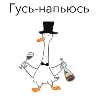 Video sticker 🍷 Goosuse